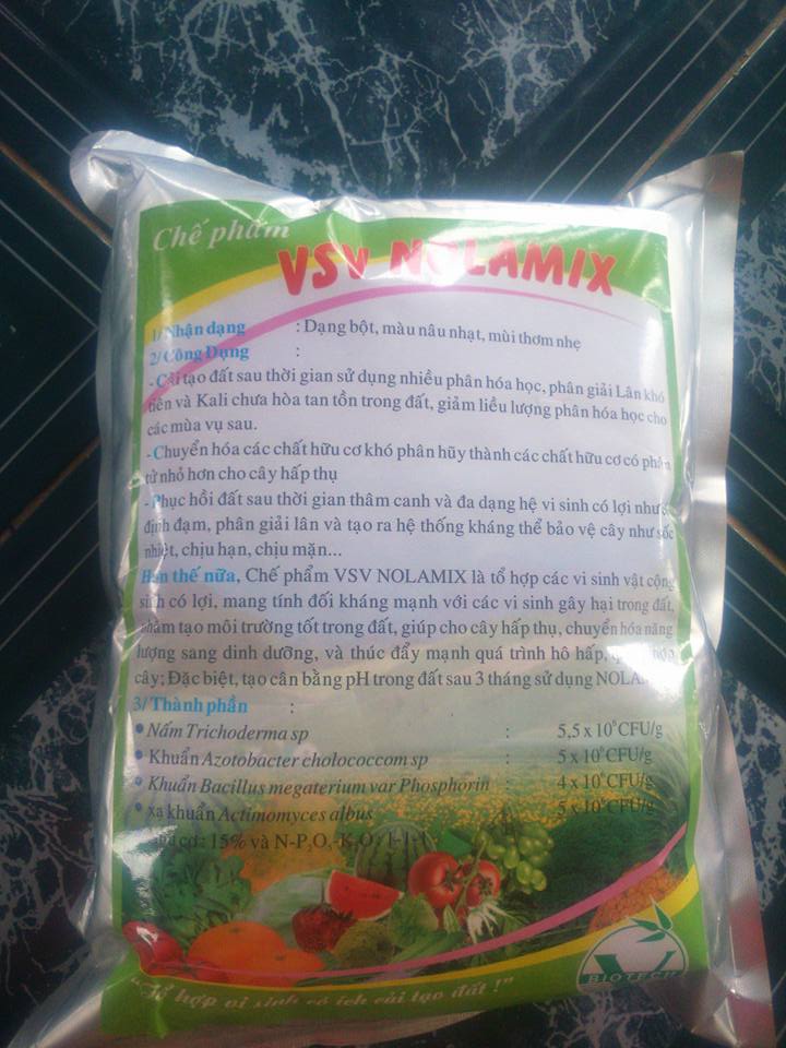 trồng rau sạch, phân bón trồng rau sạch, chế phẩm sinh học